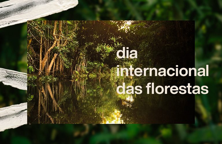 Programa Natura Amazônia: entenda como apoiamos a economia da floresta viva