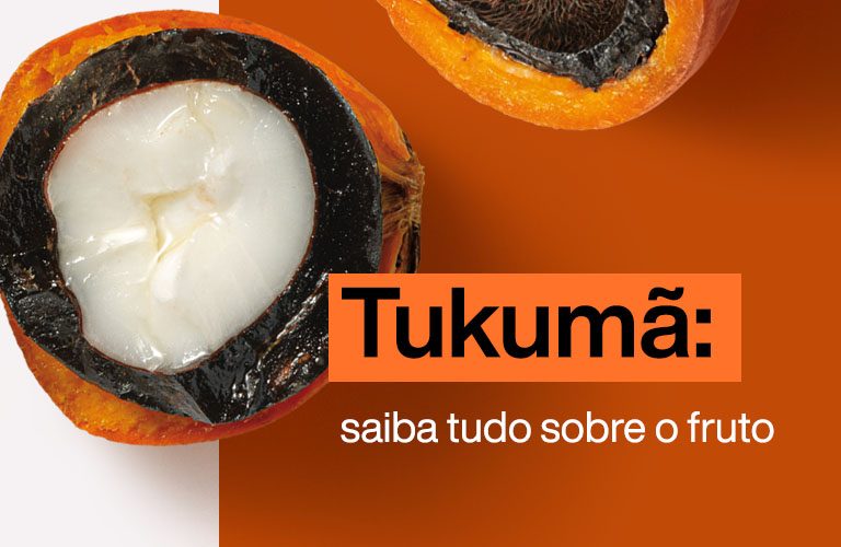 Castanha Do Sertão - O damasco é um fruto refrescante, revigorante,  saboroso e versátil,. Vamos conhecer os principais benefícios do consumo  dessa fruta à nossa saúde? #castanhaévida #saudeesabor #castanhadecaju  #saudealimentar #teofilootoni