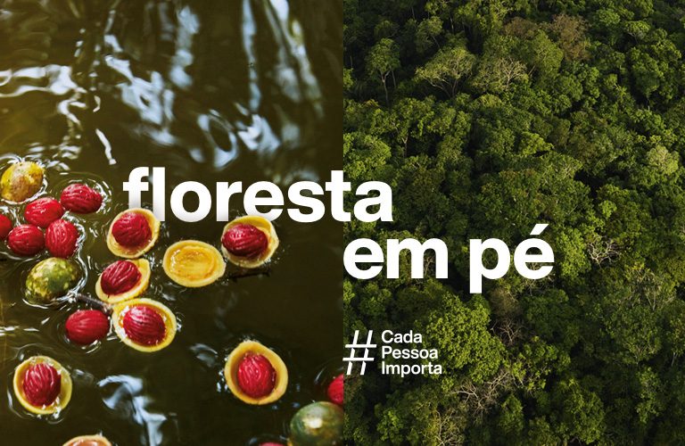 Onafhankelijk Ontmoedigd zijn ik draag kleding Amazônia: como Natura Ekos cuida da floresta e de quem vive nela | Natura  Brasil