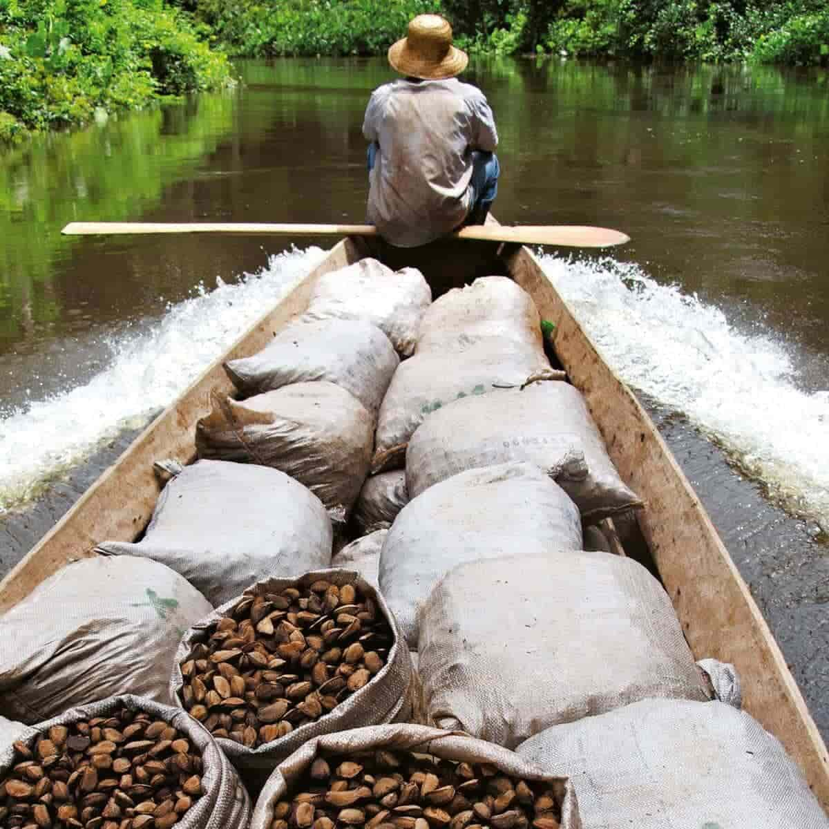 Cuidado com a sua pele, cuidado com a floresta